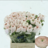 D180D0B0D0BDD196D0BA-1-400×400-1-300×300.png