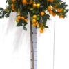 X2202182_V_1.jpg