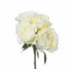 290-White-Balance-1-400×400.png