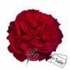 Hearts_ALE-1-300×300.png