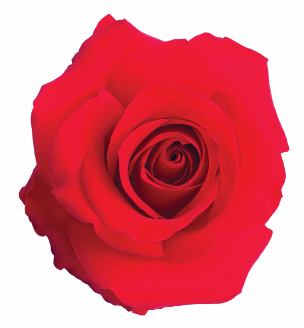 Senti-French-Kiss-1109×1200-1.png