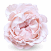 bridal-tiara-1.png
