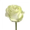 images-1-3.jpg