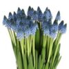 images-1-4.jpg