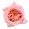 imagesqtbnANd9GcSsAMZyO0CWmcNM5NwAw7keavXwI-pK-EyWYQs-150×150.jpg