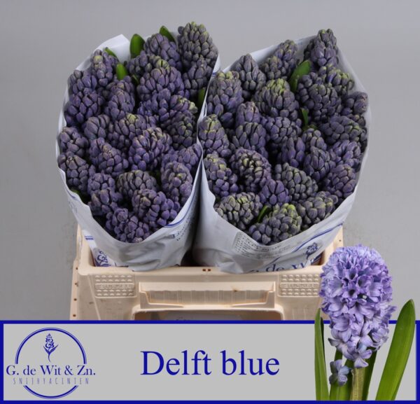 128b4331-5963-4d6d-a76e-a9ebc9186ffb.jpg