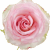 Esperance-1-400×400.png