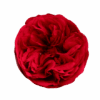 HRS0XmacKp418kuWWeq.png