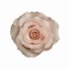 06-QUICKSAND_3-300×300.png