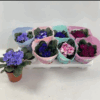 D184D196D0B0D0BB-1-400×373.png
