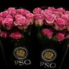 ECUADOR_ROOS_ROSA_ROSE_FLOWER_FSQ_NEWFORMAT_ENJOY.jpg