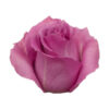 breathless-01.jpg