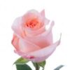 images-2-2.jpg