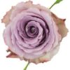 images-3-2.jpg