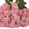 ODILIA-edited-1-400×400.png