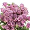 ROSE-SPRAY-PURPLE-SKY-60cm-300×300.jpg