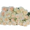 SUMMERROSE-min-1-400×400-1-300×300.jpg