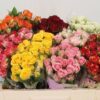 images-2.jpg