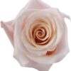 imagesqtbnANd9GcQPBiBRDw6byi9tYvJeVbhd_Oo-ExJhWmp5Lgs.jpg