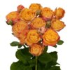 sr-spray-laroque-_0861.jpg