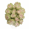 Fibonacci20Yantra.png