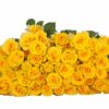IMG_9903-Goldilock-1-1-400×400.jpg