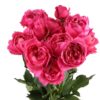 ROSE-SPRAY-CERISE-JULIETTA-60cm.jpg