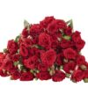 VELVET-BLOSSOMS-1-400×400.jpg