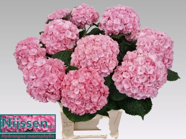 bb5af3d3-0301-4915-8ebc-c389ff3aa5d0.jpg