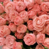 images.gif