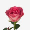 images.gif