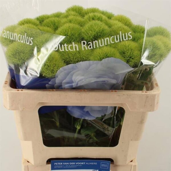 72f1ca13-2559-4ad9-9742-034428d08806.jpg