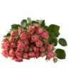 ANTIQUE-TRENDSETTER-400×400.jpg
