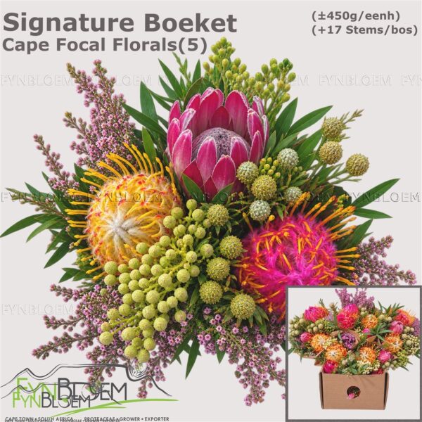X2317044_H_2.jpg