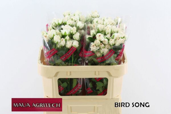 32ccbf4c-7766-4153-a6a3-19ebb0fceeff.jpg