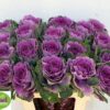 5f20beaf-8cfb-4e1c-8b6b-282f1fc46d4e.jpg