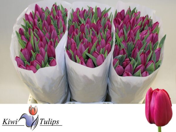 6983b6cb-9fa1-4842-bfd3-d8fee19f546c.jpg
