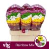 6bdd2ce4-d2d6-4c77-955c-3349febafab4.jpg