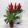 6fc567de-2470-452c-891a-caaa72e31075.jpg