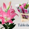 bd4489f0-101e-482c-b9bd-2fc232d16cd5.jpg