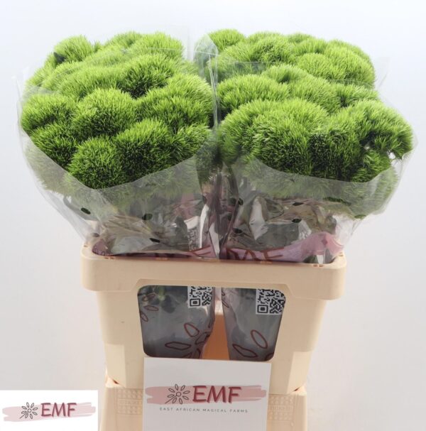 cfec36c4-024f-4173-be45-eff29ee61a46.jpg