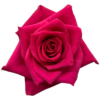 f14197_59357531fc6545f3bed898b117632009mv2-400×400.png