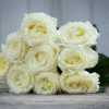 images.gif