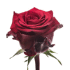 images.gif