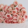 images.gif