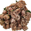 images-400×400.gif