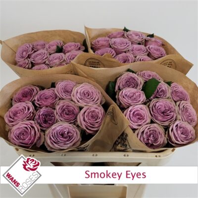 Одноголова троянда 'SMOKEY EYES'