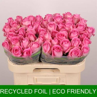 Одноголова троянда 'REVIVAL'