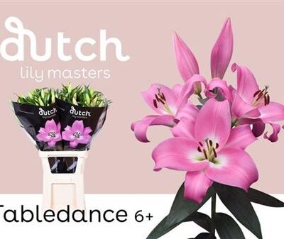 Лілія 'Tabledance'