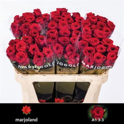 Одноголова троянда 'RED NAOMI!'